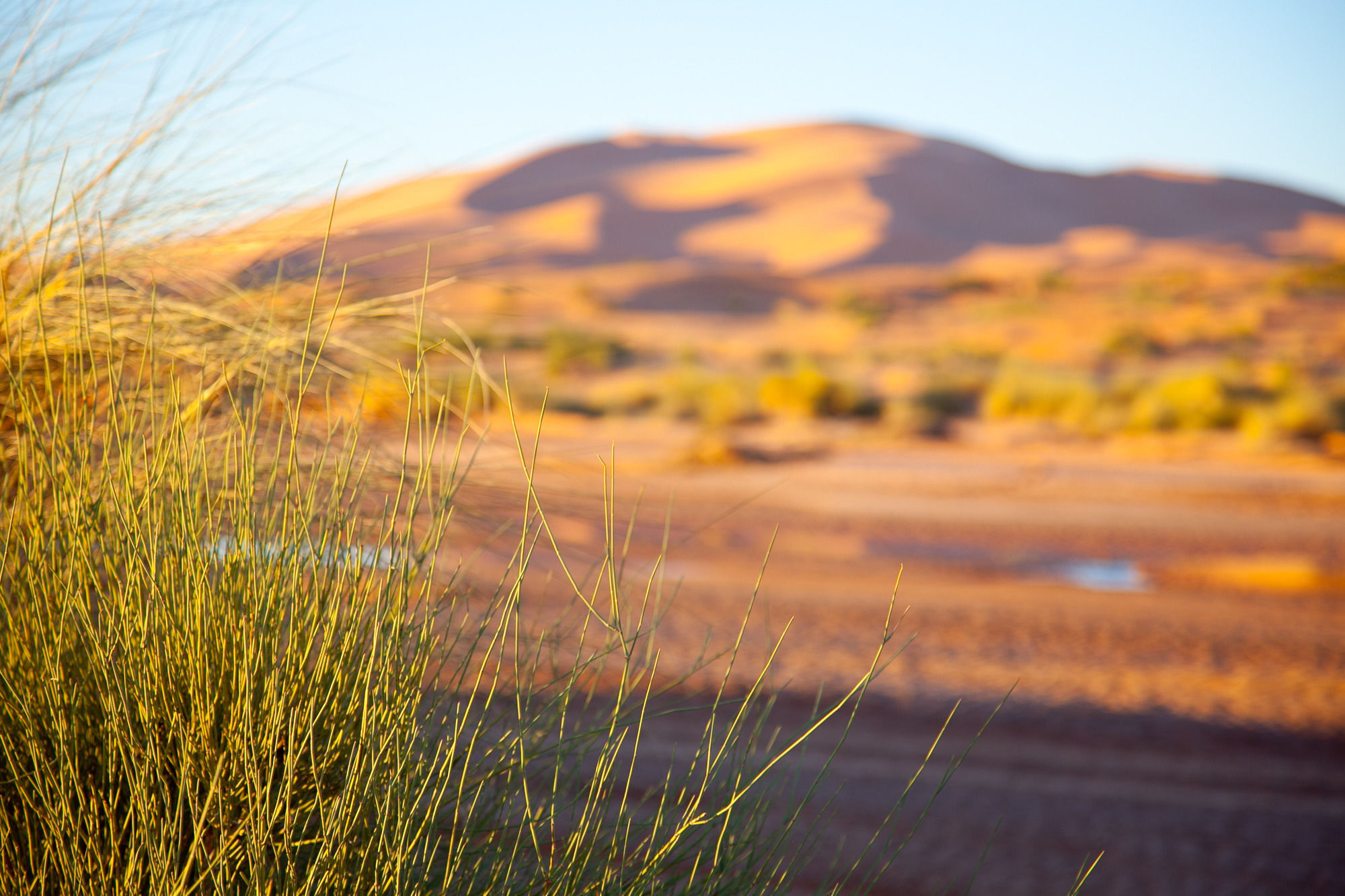 Kam Kam Dunes Мерзуга Екстер'єр фото